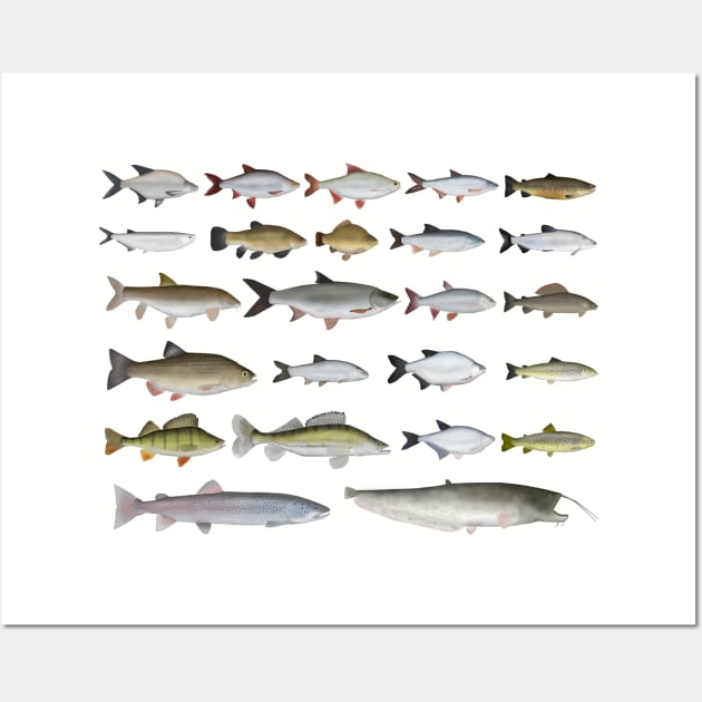 European Freshwater Fish Group Wall Art by FishFolkArt